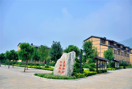 漯河市召陵区青年镇美丽乡村建设试点项目